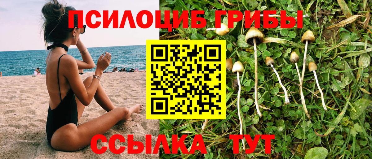 Ирбит  Галлюциногенные грибы MAGIC MUSHROOMS  Вход с VPN  Галлюциногенные грибы GOLDEN TEACHER 